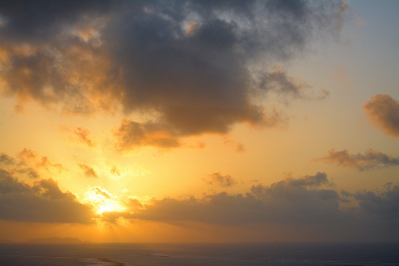 DSC_0346.jpg