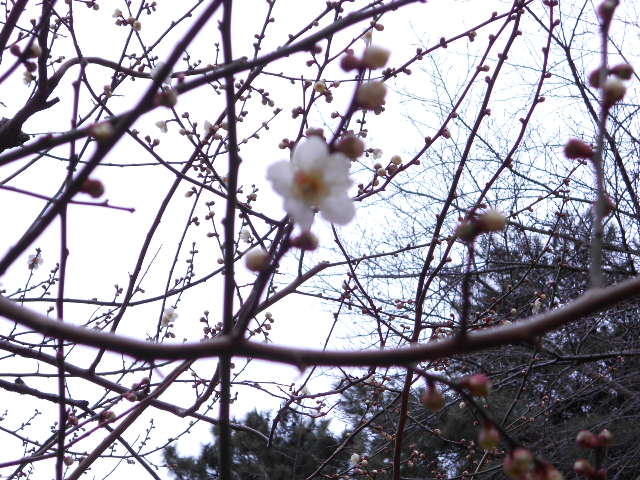 DSCN0265.JPG