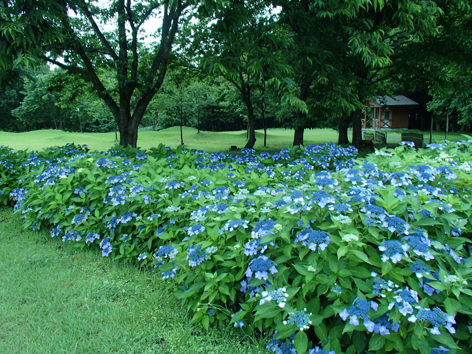 P7251200.JPG
