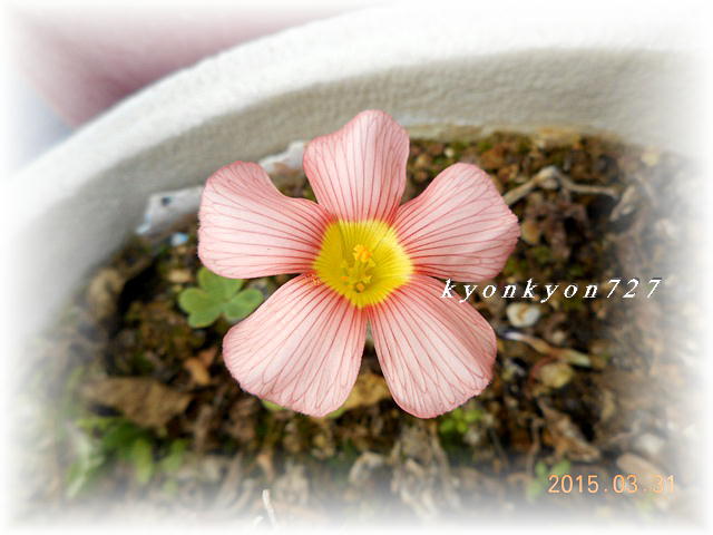 DSCN0548.jpg