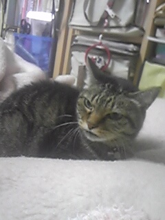 201113_043547.jpg