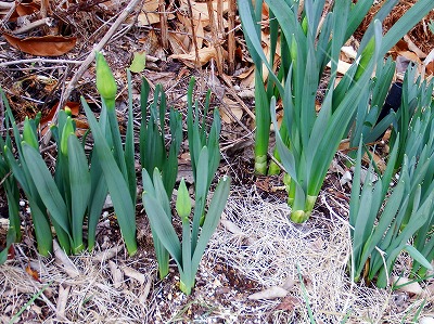 DSCF2280.jpg