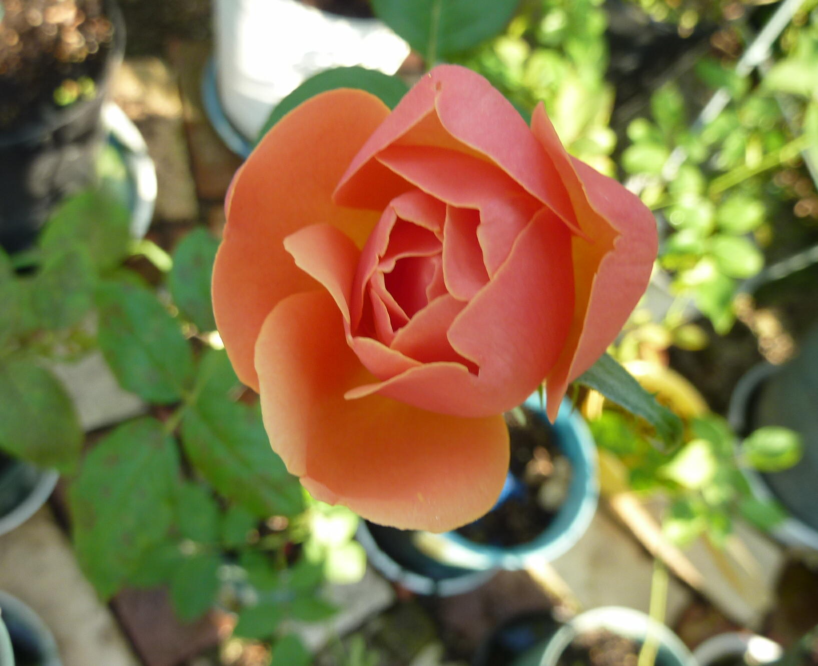 130922-5-3.jpg
