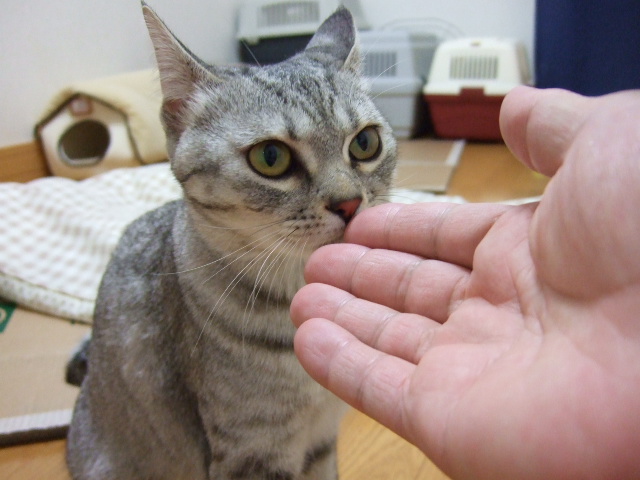 DSCF3170.JPG