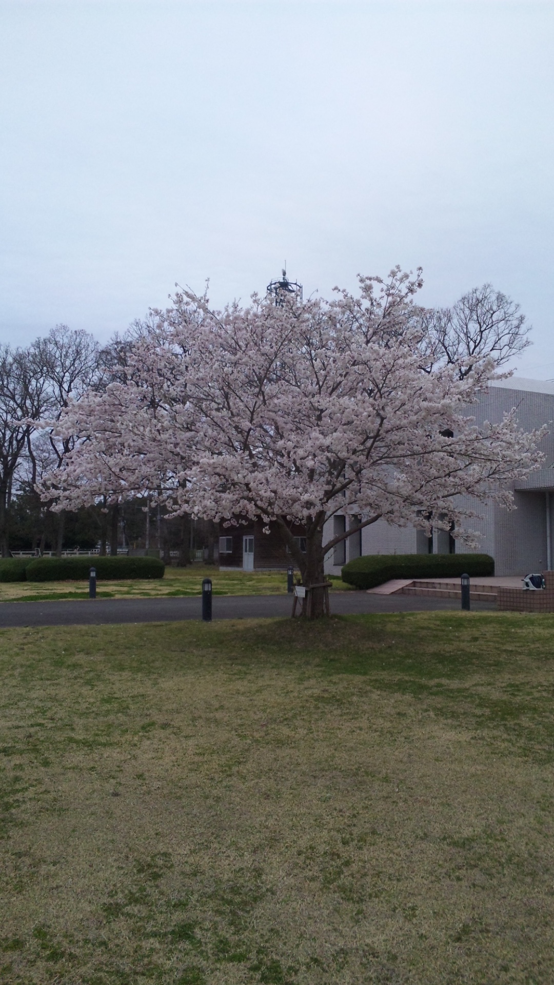 SH3D0041.jpg