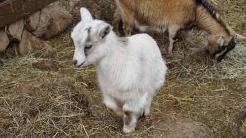 20150420 11551801.JPG