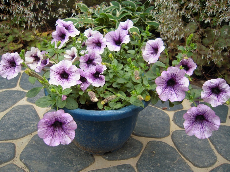 DSCN6882.JPG