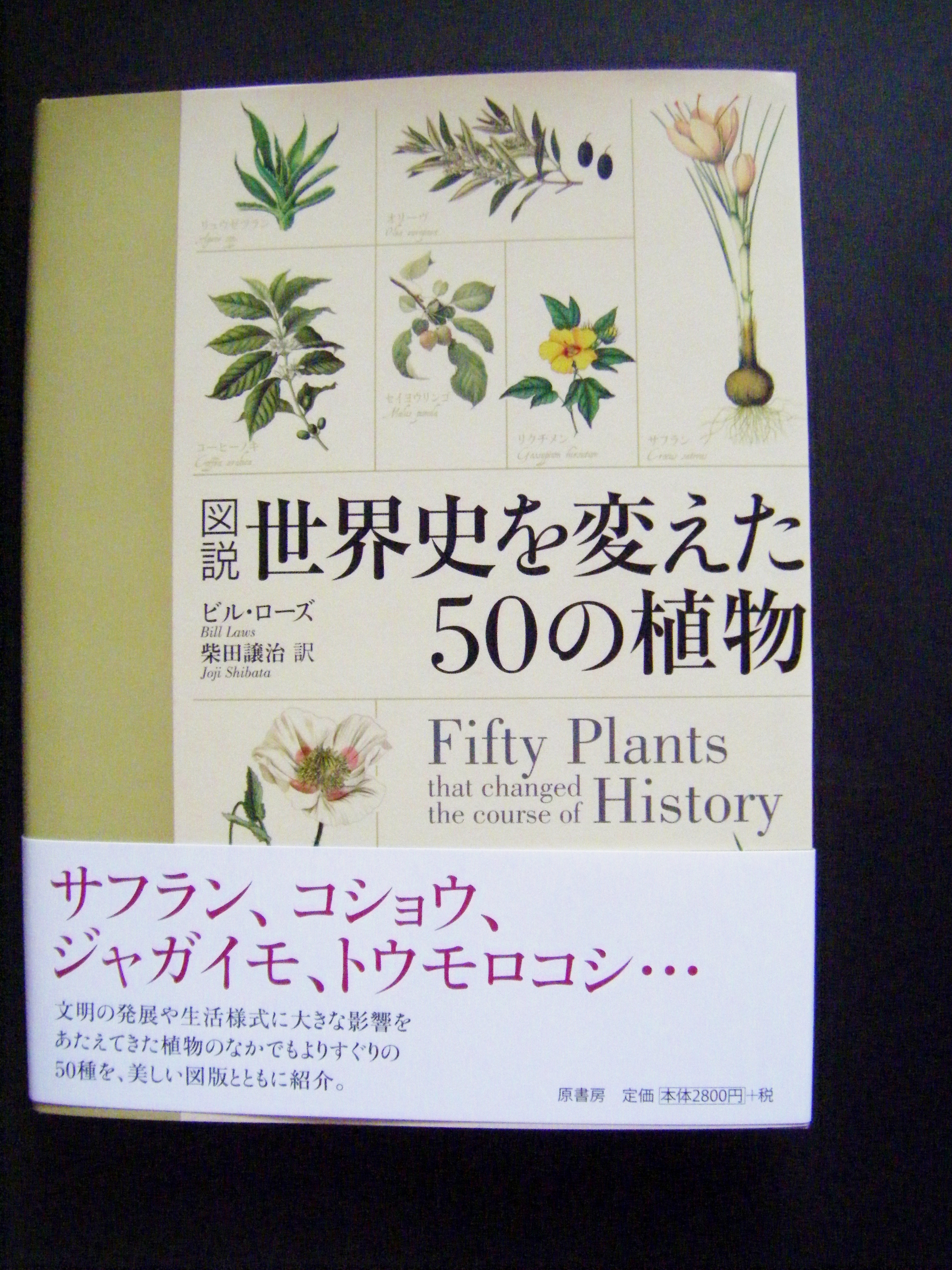 DSCF2079.JPG
