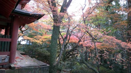 柞原神社 (7).JPG