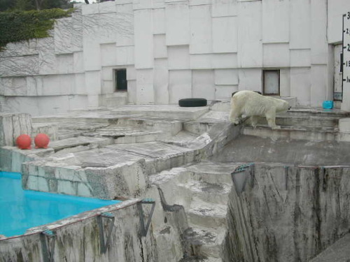 世界の熊館