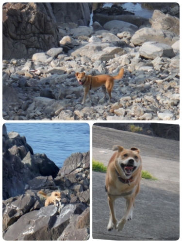 2014-08-28-22-27-27_deco (480x640).jpg