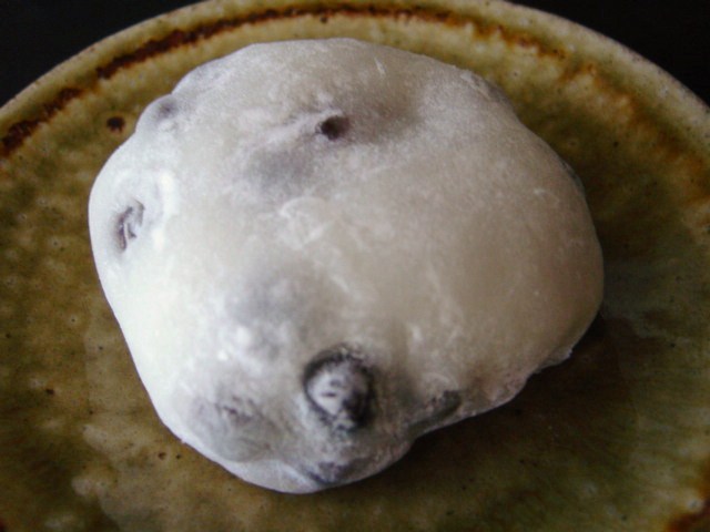 DSC09958.JPG