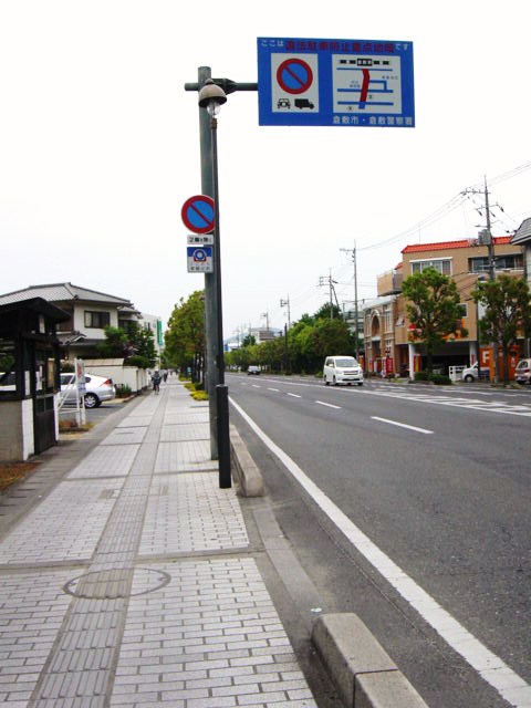 DSC08033.JPG