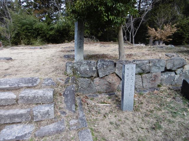 P1010128_R.JPG
