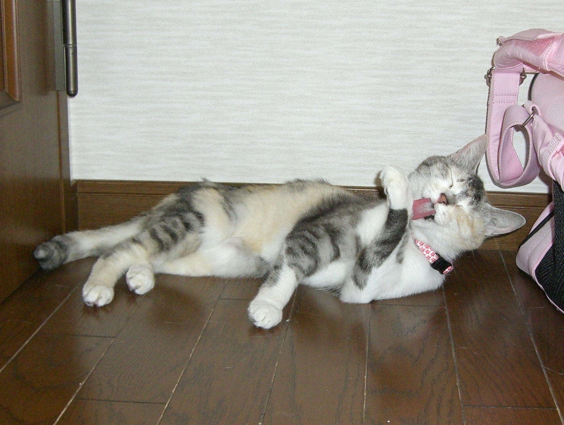 2013-9-3(V.2013_10_05__10_37_55).jpg
