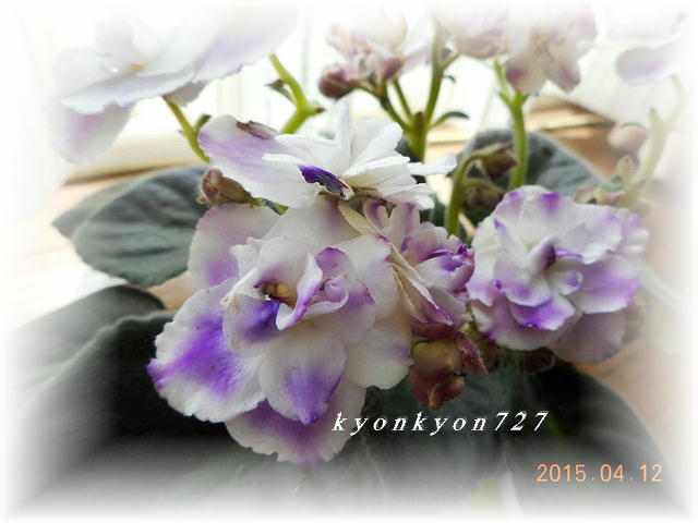 DSCN0723.jpg