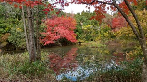 八十八か所お山めぐり (11).jpg