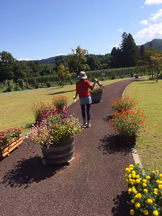写真 2-3.JPG
