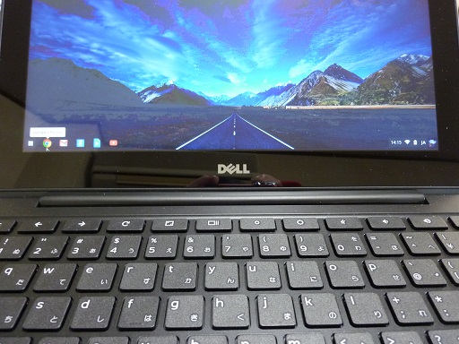 P1030772[1].jpg