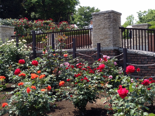 IMG_9050 (640x480).jpg