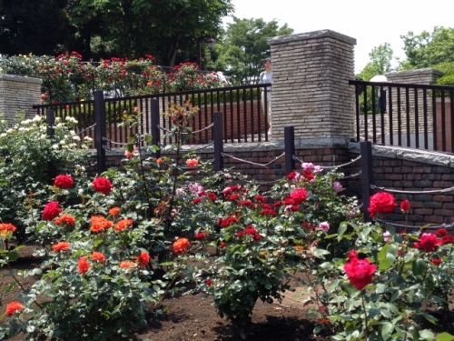 IMG_9050 (640x480).jpg