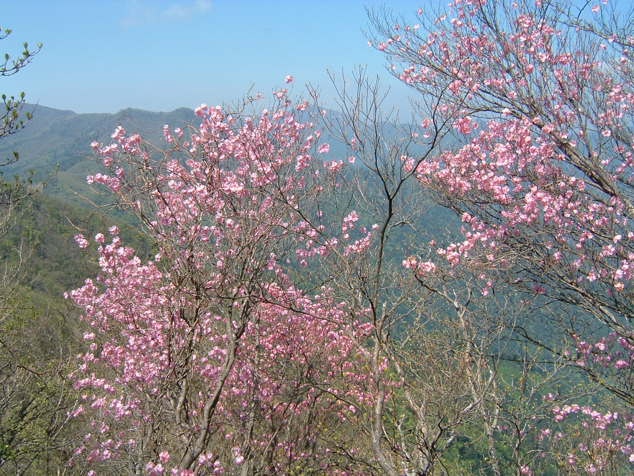 DSCF0025.JPG