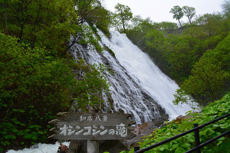 DSC_0381.jpg