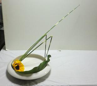 Ｅさん