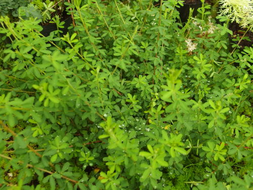 2015-06-27 15.18.42.jpg