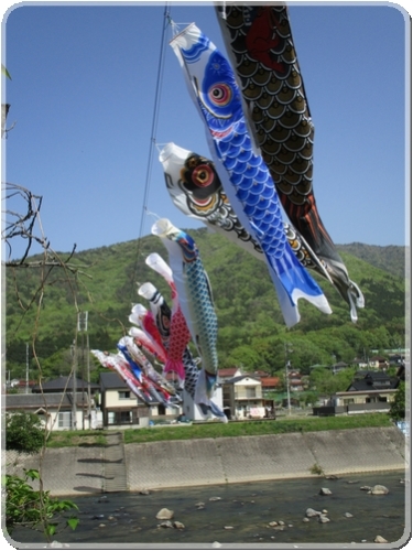 1381三篠川の鯉のぼり_1381.jpg