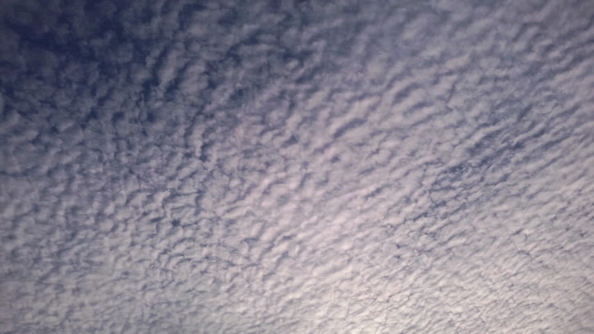 空一面鱗雲2014