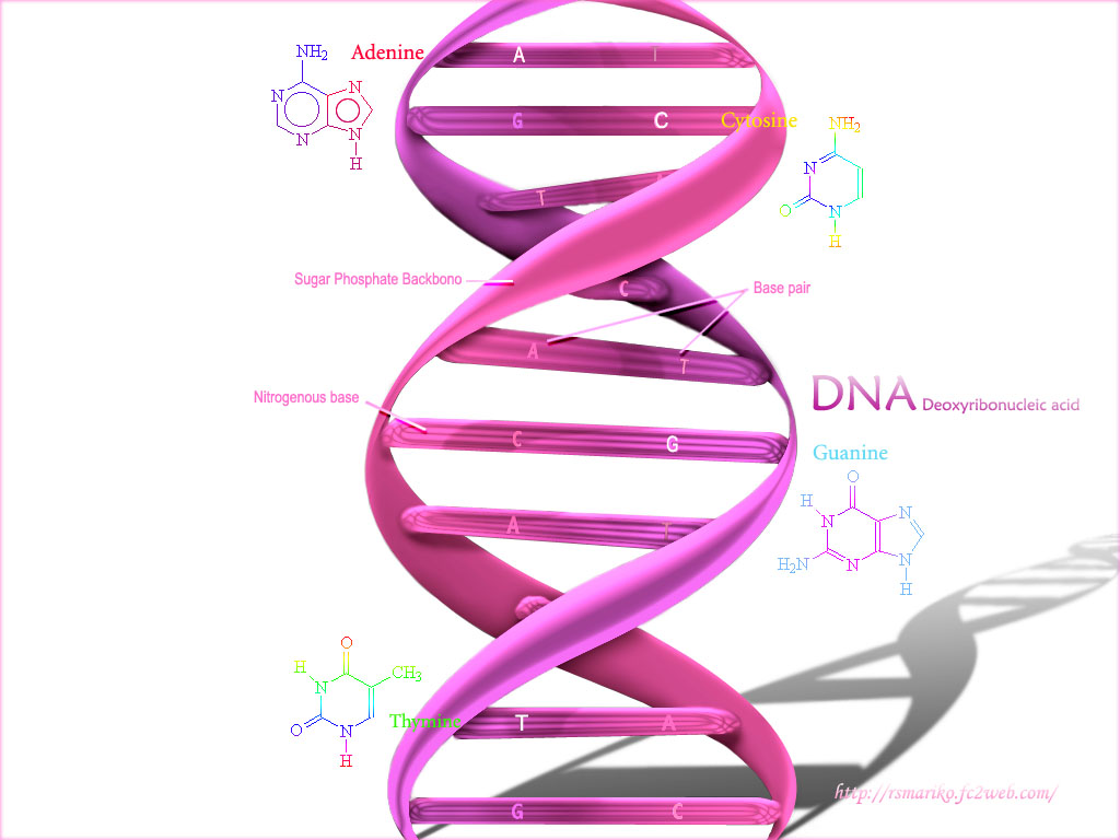 02_DNA-wp.jpg