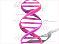 02_DNA-wp.jpg