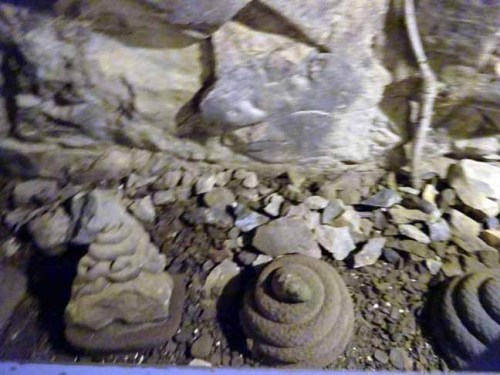 江の島岩屋内 (4).JPG