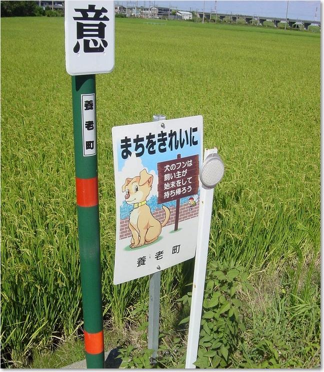 09まちをきれいに・蜂は何？