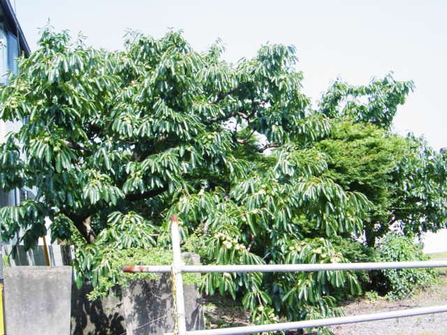 DSC09166.JPG