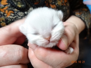 DSC04401 (300x225).jpg