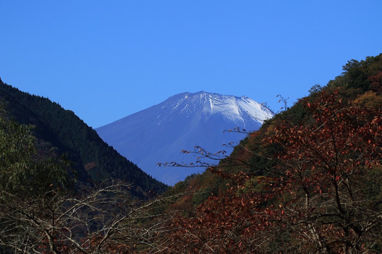 MI3A59582015富士山.JPG