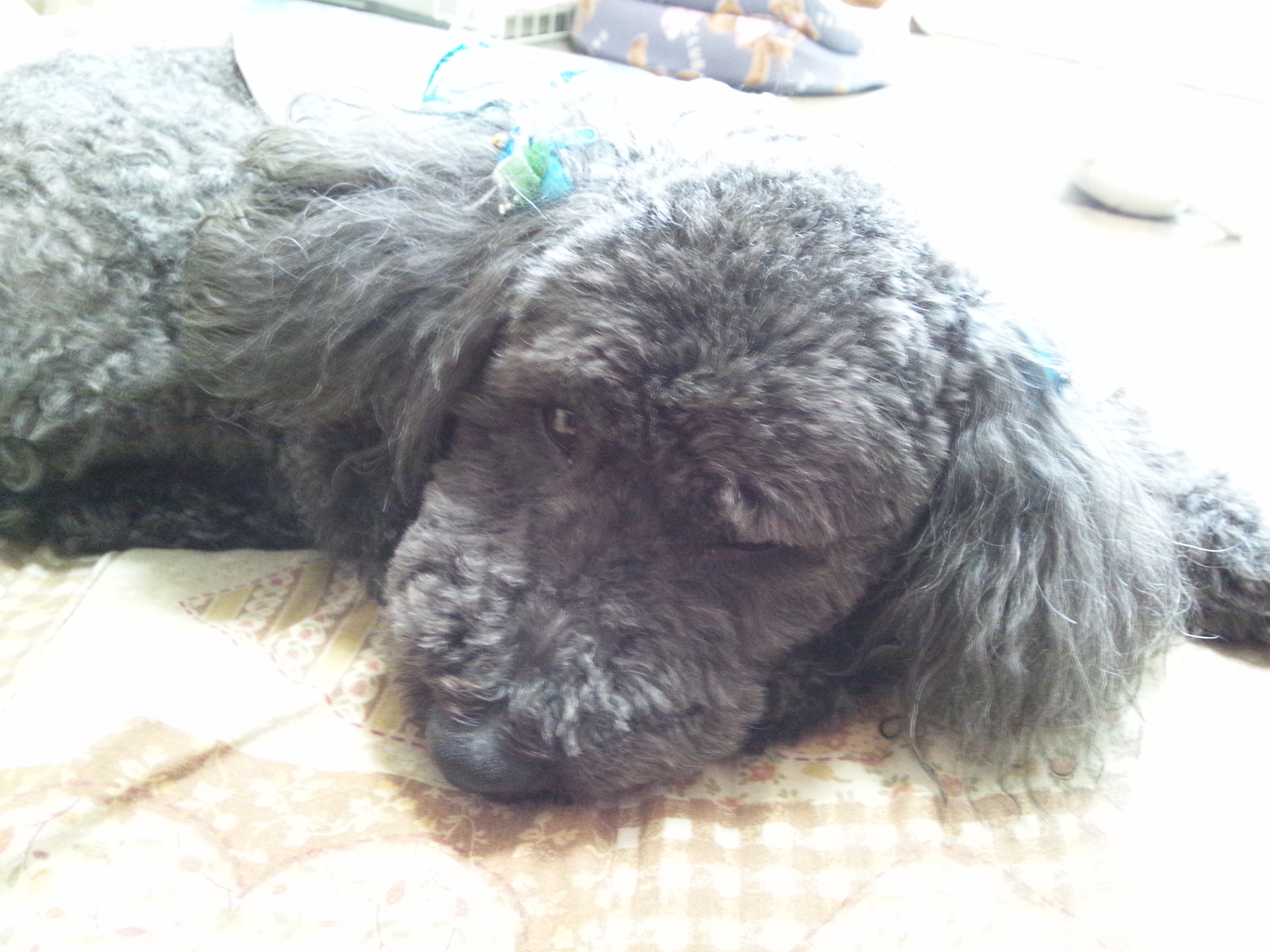 cool2012.5.jpg