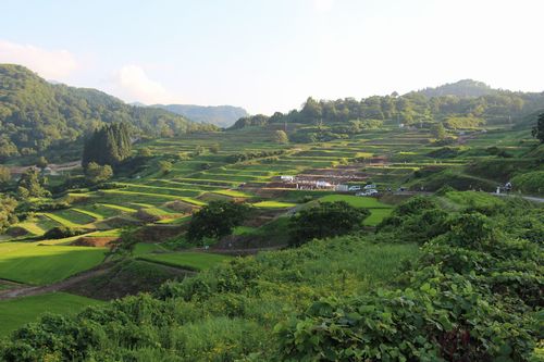 80214大蔵村四ヶ村ほたる火コンサート開始前500.jpg