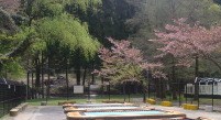 IMG_2137.jpg