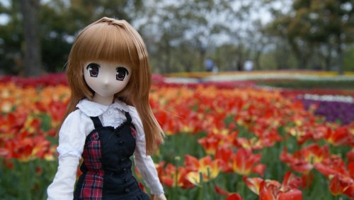 木曽三川公園チューリップ  陽菜ちゃん9.jpg