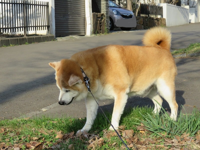 うーんと_LI.jpg