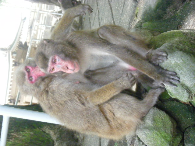 仲のいい姉弟 (1).JPG