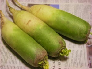 DSCN4776 (300x225).jpg