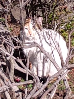 ここにいました〜