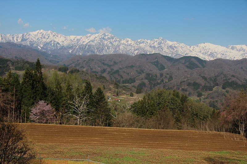 42315小川村林りん館より.jpg