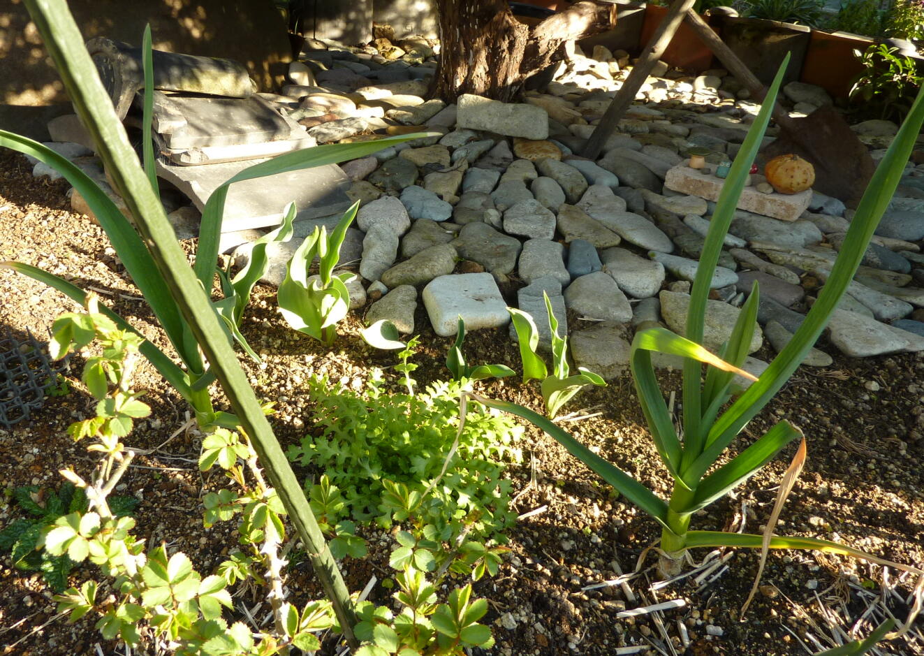 140323-3-8.jpg