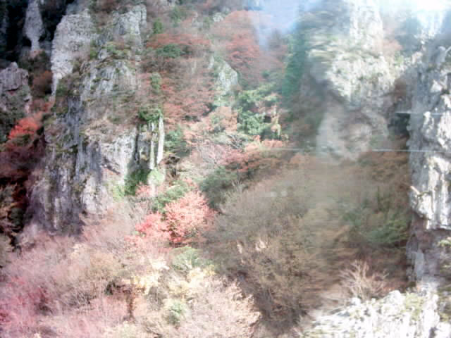 C:\fakepath\shodoshima043.jpg
