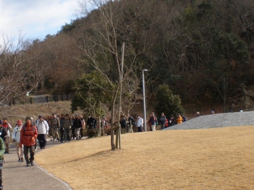 P1294421.JPG